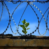 Australia: jubileusz więźniów
