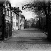 Oświęcim: międzynarodowa wystawa objazdowa na temat historii Auschwitz