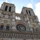 Paryż: pasieka na dachu katedry Notre-Dame
