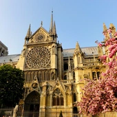 Odnowienie Notre Dame. Jak będzie wyglądać wnętrze katedry?