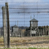 W Wigilię 1943 r. w obozie na Majdanku urodził się Mojżesz – zamordowano go w Auschwitz