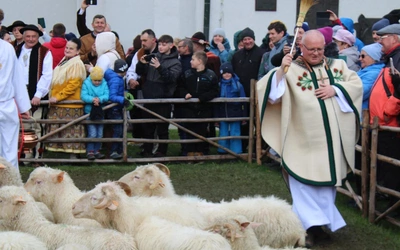 Bacowie rozpoczęli sezon u Gaździny Podhala. Owce muszą poczekać na cieplejszą pogodę