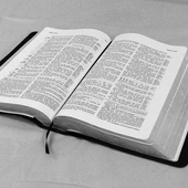 "Weź i czytaj" - Narodowy Dzień Czytania Pisma Świętego