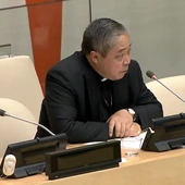 Watykan w ONZ: respektowanie życia warunkiem rozwoju