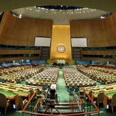 Głos Stolicy Apostolskiej na 72. Zebraniu Ogólnym ONZ ws. obrony mniejszości religijnych