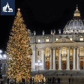 Historia bożonarodzeniowego drzewka – kilka słów o świątecznej tradycji
