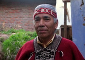 Indianin Mapuche