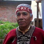 Indianin Mapuche