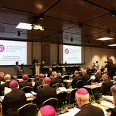 Wybory 379. Zebrania Plenarnego Konferencji Episkopatu Polski
