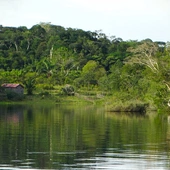 Kard. Filoni: ludy Amazonii sercem i w sercu Kościoła