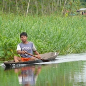 Kościół gotowy do Synodu o Amazonii: misja i ekologia