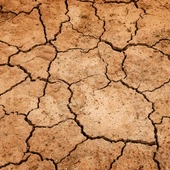 Pustynnienie gleby jest jakby chorobą fizyczną