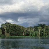 Fundusz wsparcia Kościoła w Amazonii