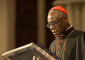 Kardynał Sarah: Nie ma tam choćby jednego zdania przeciwko papieżowi Franciszkowi