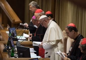 Franciszek: to nie był synod o celibacie