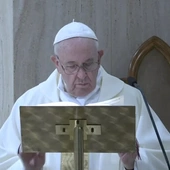 Papież: módlmy się o łaskę jedności, przezwyciężania podziałów