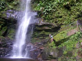 Raport z dżungli: Gringi w Amazonii