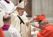 Papież ustanowił 13 nowych kardynałów