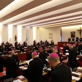 Hiszpania: biskupi skrytykowali próbę zalegalizowania "surogatek"