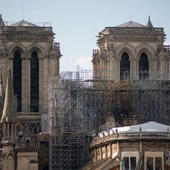 Do odbudowania iglicy katedry Notre Dame potrzeba 1000 starych dębów