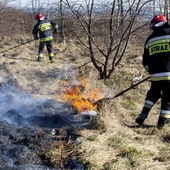Od początku roku 1,7 tys. pożarów traw. Strażacy ostrzegają: to niebezpieczne!