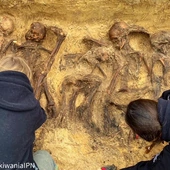 Makabryczne odkrycie pod Warszawą. Odnaleziono zbiorowy grób ofiar zbrodni niemieckiej