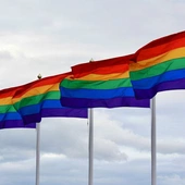 Ambasadorowie w służbie LGBT. Naciski na Polskę nie słabną
