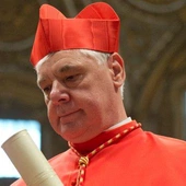 Kard. Müller wzywa papieża do interwencji w Kościele w Niemczech