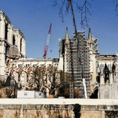 Paryż: zbiórka pieniędzy na odnowienie wnętrza katedry Notre Dame