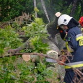 Straż Pożarna: od czwartku w Polsce blisko 1,5 tys. interwencji w zw. z silnym wiatrem