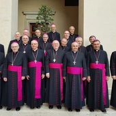 O czym rozmawiali polscy biskupi w Watykanie?