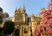Odnowienie Notre Dame. Jak będzie wyglądać wnętrze katedry?