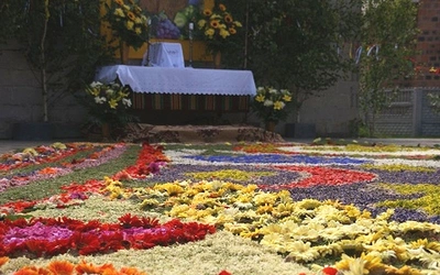 „Tradycja kwiatowych dywanów na procesje Bożego Ciała” zostanie wpisana na Listę Niematerialnego Dziedzictwa Kulturowego Ludzkości UNESCO