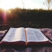 Ewangelia na niedzielę: Potrzeba świadków ulepionych ze Słowa