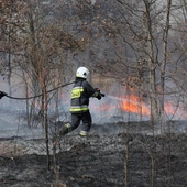 Strażacy podsumowali święta: ponad 1,6 tys. pożarów; zginęło siedem osób