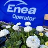 „Kwiat za grat”– wymienimy elektrośmieci na rośliny z Eneą Operator