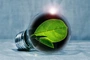 PGE dostarczy zieloną energię dla CMC Poland