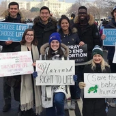 Studenci z Harvardu za życiem. Zwolennicy aborcji rzucają w ich stronę obraźliwe hasła 