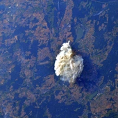 Pożar zboża i lasu w Wielkopolsce był widoczny z kosmosu. Astronautka pokazała niesamowite zdjęcie