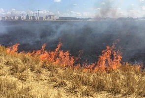PSP: prawie 2,2 tys. pożarów upraw rolnych, z czego ponad połowa w lipcu