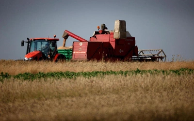 KOWR: tegoroczne plony zbóż mogą być wyższe niż w 2021 r.