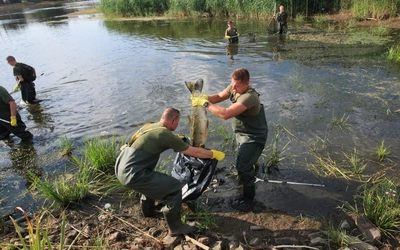 Toksykolog: samodzielne zbieranie śniętych ryb nad Odrą jest nierozsądne