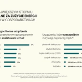 Wyniki badania IBRiS: Polakom tylko się wydaje, że wiedzą, które urządzenia w ich domu zużywają najwięcej prądu