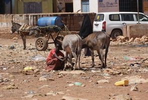 ONZ: Somalii zagraża klęska głodu