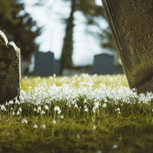 Kalifornia zezwala na kompostowanie ludzkich szczątków. Biskupi krytykują nowe przepisy