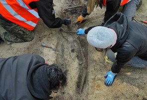 W Skierniewicach odnaleziono szczątki chłopca – ofiary niemieckiej zbrodni
