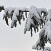IMGW wydał ostrzeżenia przed marznącymi opadami, oblodzeniem i intensywnymi opadami śniegu