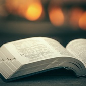 Analiza skandalu nadużyć seksualnych z biblijnego punktu widzenia. Przeczytaj fragment książki bp. Roberta Barrona