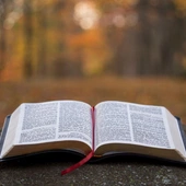 Passion Translation — tłumaczenie, czy raczej ideologiczna reinterpretacja Biblii?