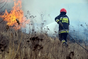 PSP podała tegoroczne dane dotyczące pożarów traw. Spowodowały ponad 1,3 mln zł strat